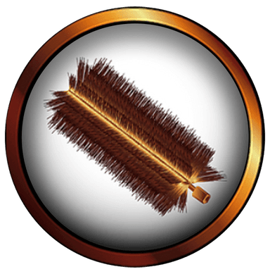 Steam System Boiler Maintenance